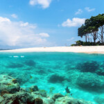 Over and under sea surface split image near a tropical island with sandy beach and colorful marine life with tropical fish underwater. Andaman and Nicobar Islands. The concept of snorkeling and diving