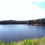 Sabine National Forest - Red Hills Lake