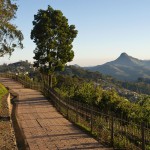 CX30CC Elk201-5358 India, Tamil Nadu, Kodaikanal, Cocker's Walk