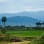 Tirunelveli is a district in Tamil Nadu surrounded by lush green fields and hills. A picturesque land that resonates the beauty of rural Tamil Nadu.