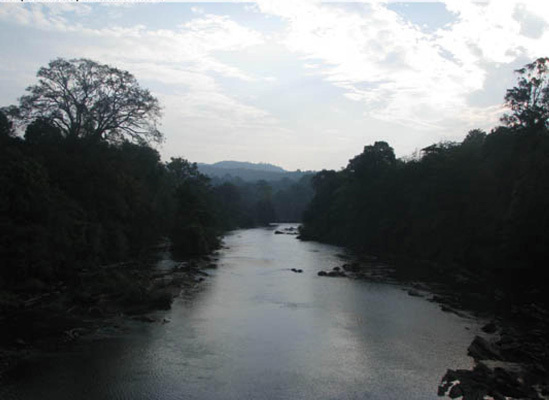 ChalakudyRiver(1)