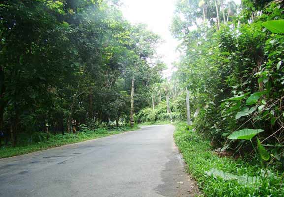 KesariWaterfalls