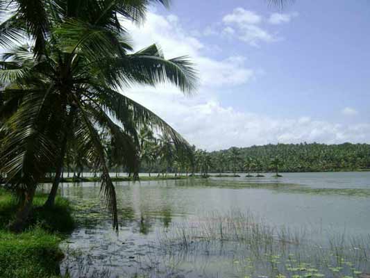 VellayaniLake