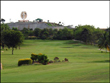 cosmopolitan-club-golf-annexe-tamilnadu