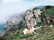 kodaikanal-hill-station-in-tamilnadu