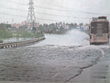 porur-lake-tamilnadu