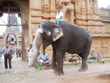 thanjavur-royal-palace-museum-tamilnadu