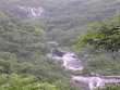 palani-hills-national-park-tamilnadu