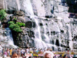 kutralam-waterfall